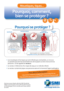 Moustiques, tiques - Centre de Vaccination Air France
