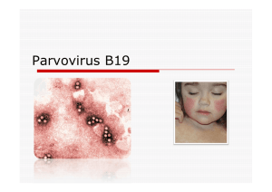 Parvovirus B19-4année 2016