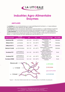 Industries Agro-Alimentaire Enzymes