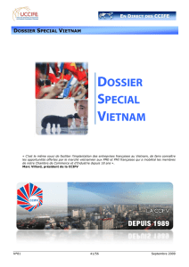 dossier special vietnam - Cap