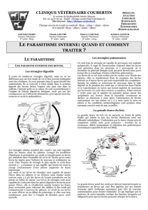 le parasitisme interne - Clinique Vétérinaire Coubertin