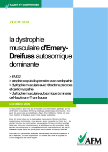 la dystrophie musculaire d`Emery- Dreifuss - AFM