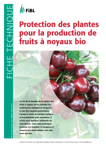 Protection des plantes pour la production de fruits à noyaux bio