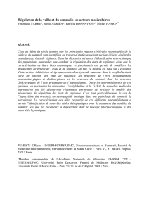 Régulation de la veille et du sommeil