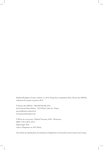 Mathieu Bordigoni, &Eacute;nergie et industrie. Le r&ocirc;le de l`&eacute;nergie dans la