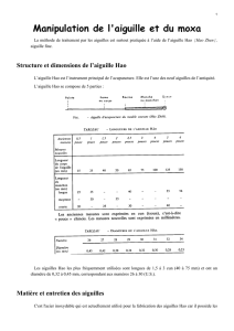 Manipulation de l`aiguille et du moxa