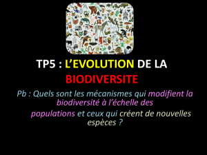 TP5 : L`EVOLUTION DE LA BIODIVERSITE
