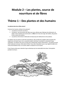 Module 2 – Les plantes, source de nourriture et de fibres Thème 1