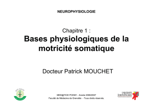 Bases physiologiques de la motricit&eacute; somatique