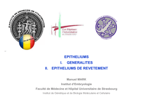 EPITHELIUMS I. GENERALITES II. EPITHELIUMS DE REVETEMENT