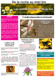 La pollinisation - La bio près de chez moi