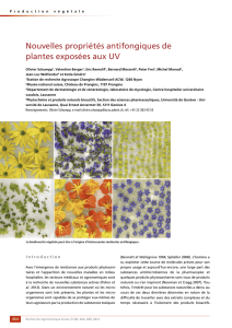 Nouvelles propriétés antifongiques de plantes exposées aux UV