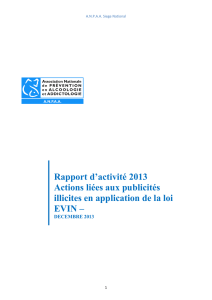 Rapport d`activité 2013 Actions liées aux publicités