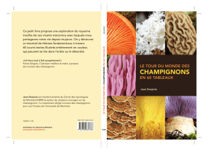 CHAMPIGNONS