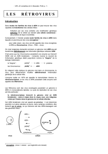 les rétrovirus - anne decoster