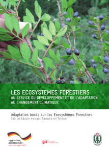 LES ECOSYSTEMES FORESTIERS