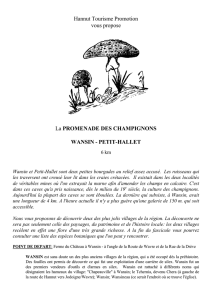 PROMENADE DES CHAMPIGNONS – Wansin – Petit