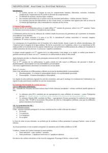 Neuro Anat Physio