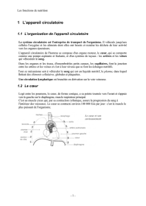 1 L`appareil circulatoire - CFA MUNICIPAL DE BELFORT