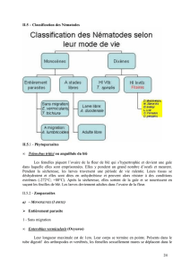 INVERTEBRES I Chap 2 Suite 001 nouveau