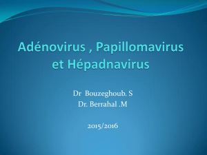 Adénovirus , Papillomavirus et Hepadnavirus - ceil@univ