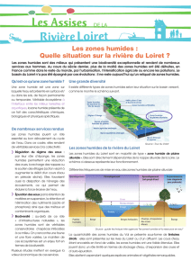 Les zones humides - Assises Riviere Loiret