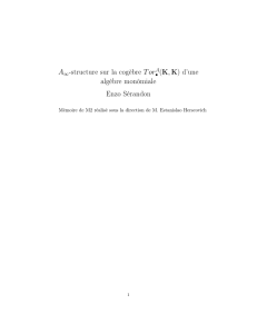 (K,K) d`une algèbre monômiale Enzo Sérandon