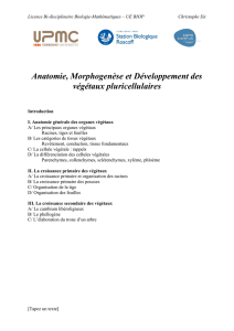 Anatomie, Morphogenèse et Développement des végétaux