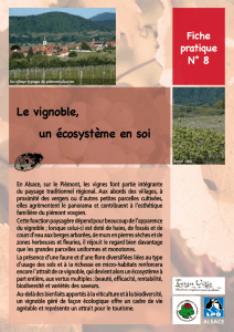 Le vignoble, un écosystème en soi - Chambre d`agriculture du Bas