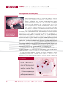 Peste porcine africaine (PPA)