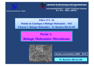 Biologie Moleculaire Microbienne