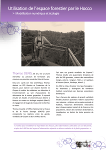 Thomas DENIS – Utilisation de l`espace forestier par le Hocco