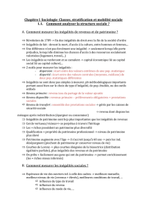 Chapitre I_Sociologie_Classes, stratification et mobilité sociale 1.1