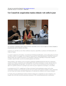Un Conseil de coopération tuniso-chinois voit enfin le jour : Kapitalis