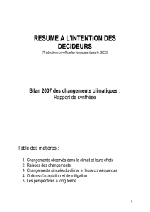 RESUME A L`INTENTION DES DECIDEURS