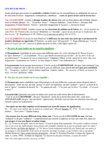 AUTRES FIGURES DE RH TORIQUE LEXICALES (niveau