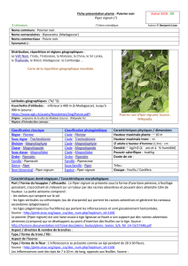 Fiche présentation plante : Poivrier noir Piper nigrum (°) Statut IUCN