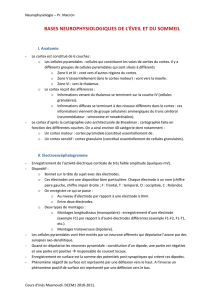 V. Mécanismes neurophysiologiques des stades sommeils et d`éveil