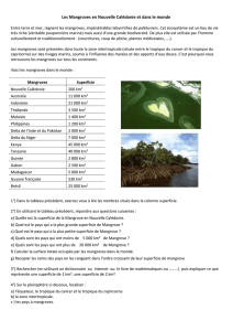 Les Mangroves en Nouvelle Calédonie et dans le monde