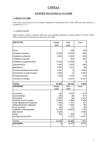 Rapport financier 2008 et budget prévisionnel 2009