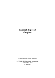 Rapport - Sylvain Guéant
