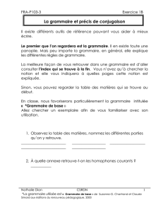 3B1 Exercice 1B Grammaire et un précis de