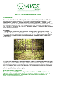 Fiche_no_1_les_diffe.. - Documents pour le développement durable