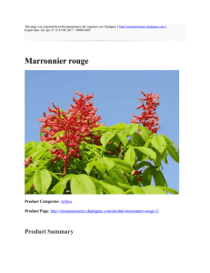 Marronnier rouge : Reconnaissance des végétaux sur Chadignac