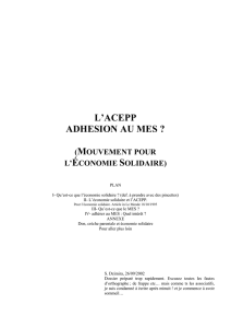 III- Qu`est-ce que le MES