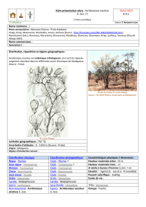 Fiche-presentation-Acridocarpus-excelsus