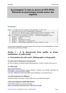 Dossier Éléments de psychologie sociale et migrants - crsms-idf