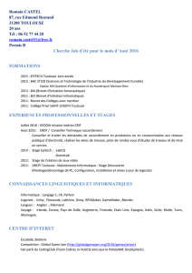 Télécharger CV - interim-online.fr