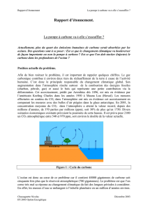 "La pompe à carbone va t`elle s`essouffler" ?