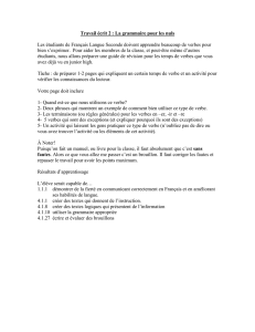 Travail écrit 1 : La grammaire pour les nuls